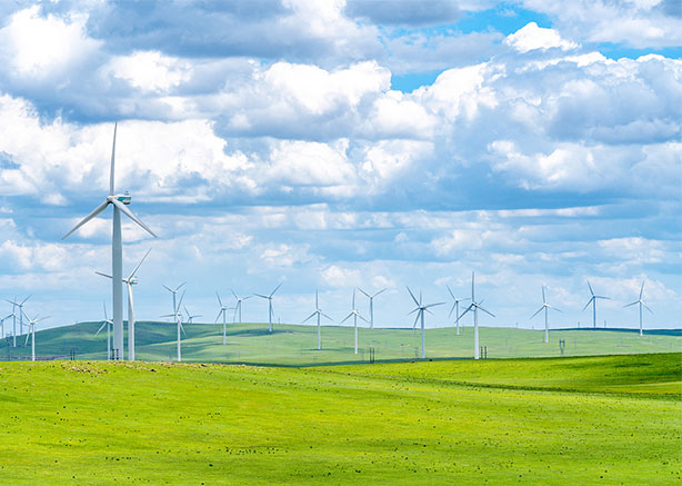 Permanent Magnet Wind Turbine